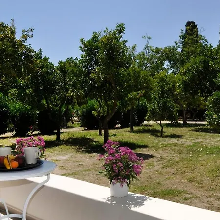 Apartament Orange Grove