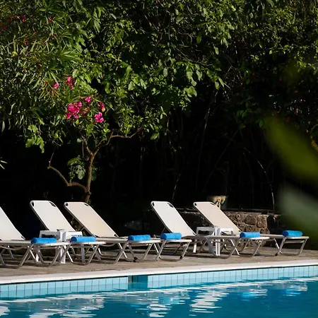 Orange Grove Apartament