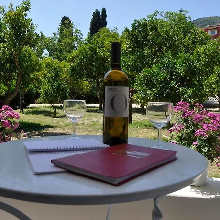 Appartamento Orange Grove